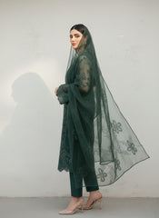 Emerald Enchantment – Embroidered 3-Piece Organza Suite